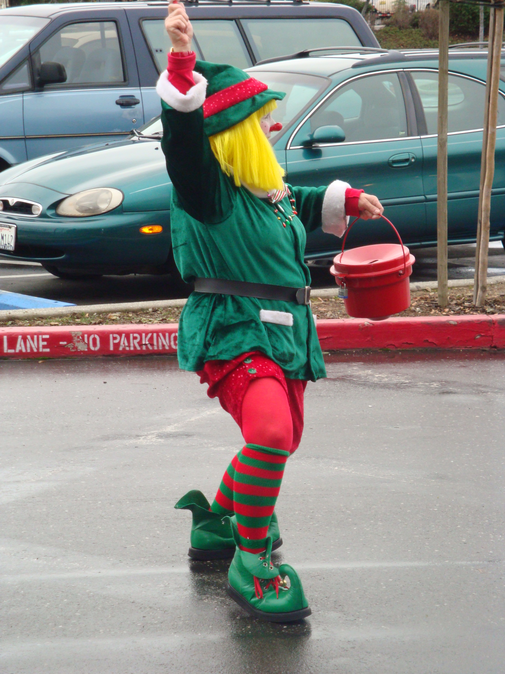 Christmas Elf